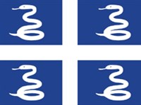 Мартиника (флаг)