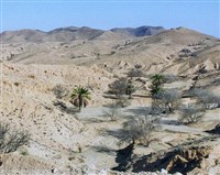 Матмата (оазис)