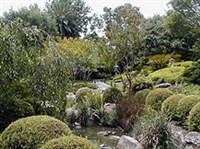 Мельбурнский зоопарк (японский сад)
