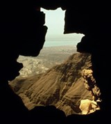 Мертвое море (вид)