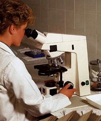 Микроскопическое исследование