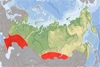 Могильник (ареал)