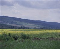 Молдавия (Кодру)