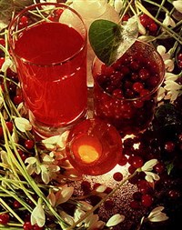 Морс клюквенный с медом