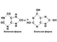 Мочевая кислота