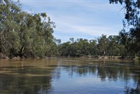 Муррей река