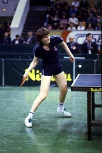 НАСТОЛЬНЫЙ ТЕННИС [спорт]