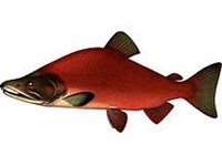 НЕРКА (рисунок)