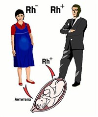 НЕСОВМЕСТИМОСТЬ КРОВИ МАТЕРИ И ПЛОДА ПО РЕЗУС-ФАКТОРУ И ГРУППЕ КРОВИ