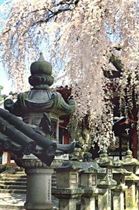 Нара (город)