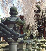 Нара (каменные фонари)