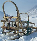 Нарты (собачья упряжка)