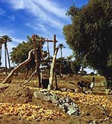 Нигер (колодец на плато Аир)