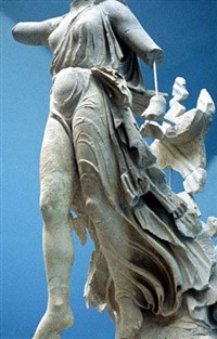 Ника ПЕОНИЯ (вид спереди)