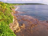 Ниуэ (Морское побережье)