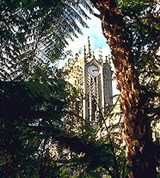 Новая Зеландия (университет в Окленде)