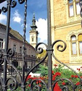 Нови-Сад (дом с садиком в центре города)