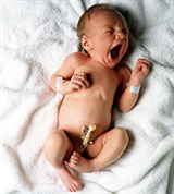Новорожденный (малыш)
