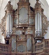 Оденсе (орган)