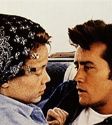 Опустошённые земли (кадр из фильма)