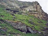 Оргеев (скальные пещеры)