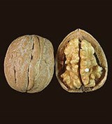 Орех (грецкий орех)