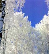 Орловская область (Орловское Полесье)