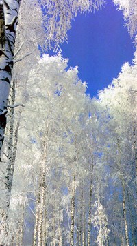 Орловская область (Орловское Полесье)