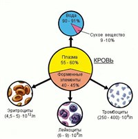 Основные Константы крови человека