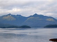 Остров Баранова (вид)