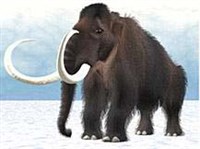 ПАЛЕОНТОЛОГИЯ