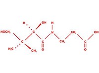 ПАНТОТЕНОВАЯ КИСЛОТА (витамин B(3))
