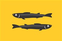 ПЕРЕСЛАВЛЬ-ЗАЛЕССКИЙ (флаг)