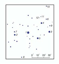 ПЛЕЯДЫ (в астрономии)