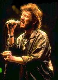 ПОГС (Шейн Макгован)