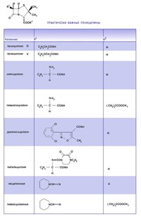 ПРАКТИЧЕСКИ ВАЖНЫЕ ПЕНИЦИЛИНЫ