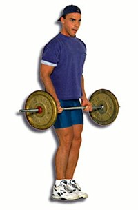 ПРОГРЕССИВНЫЙ ТРЕНИНГ