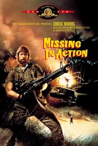 ПРОПАВШИЕ БЕЗ ВЕСТИ НА ПОЛЕ БОЯ (постер)