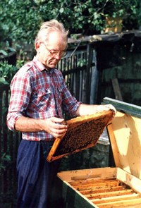 ПРОПОЛИС (прополис)