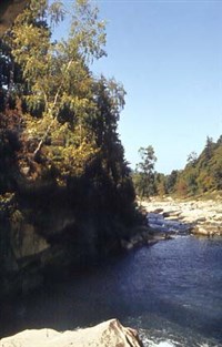 ПРУТ (в верхнем течении)