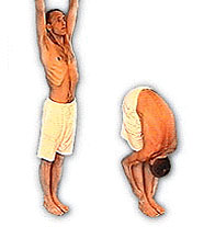 Падахастасана