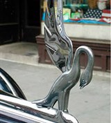 Паккард (эмблема)