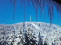 Пампорово (горнолыжный курорт)