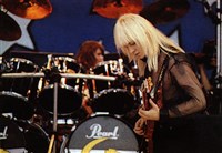 Парк Горького (концерт)