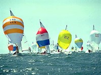 Парусный спорт [спорт]