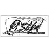 Пиктографическое письмо (прошение индейских племен конгрессу США)