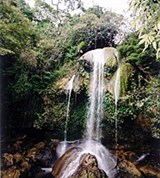 Пинар-дель-Рио (водопад)