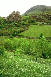 Пиренеи (руины замка)