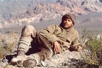 Питт Брэд (Семь лет в Тибете)