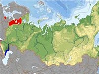 Подвид (географическое видообразование)